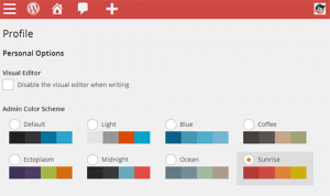 How to Set Default Admin Color Scheme for New Users in WordPress